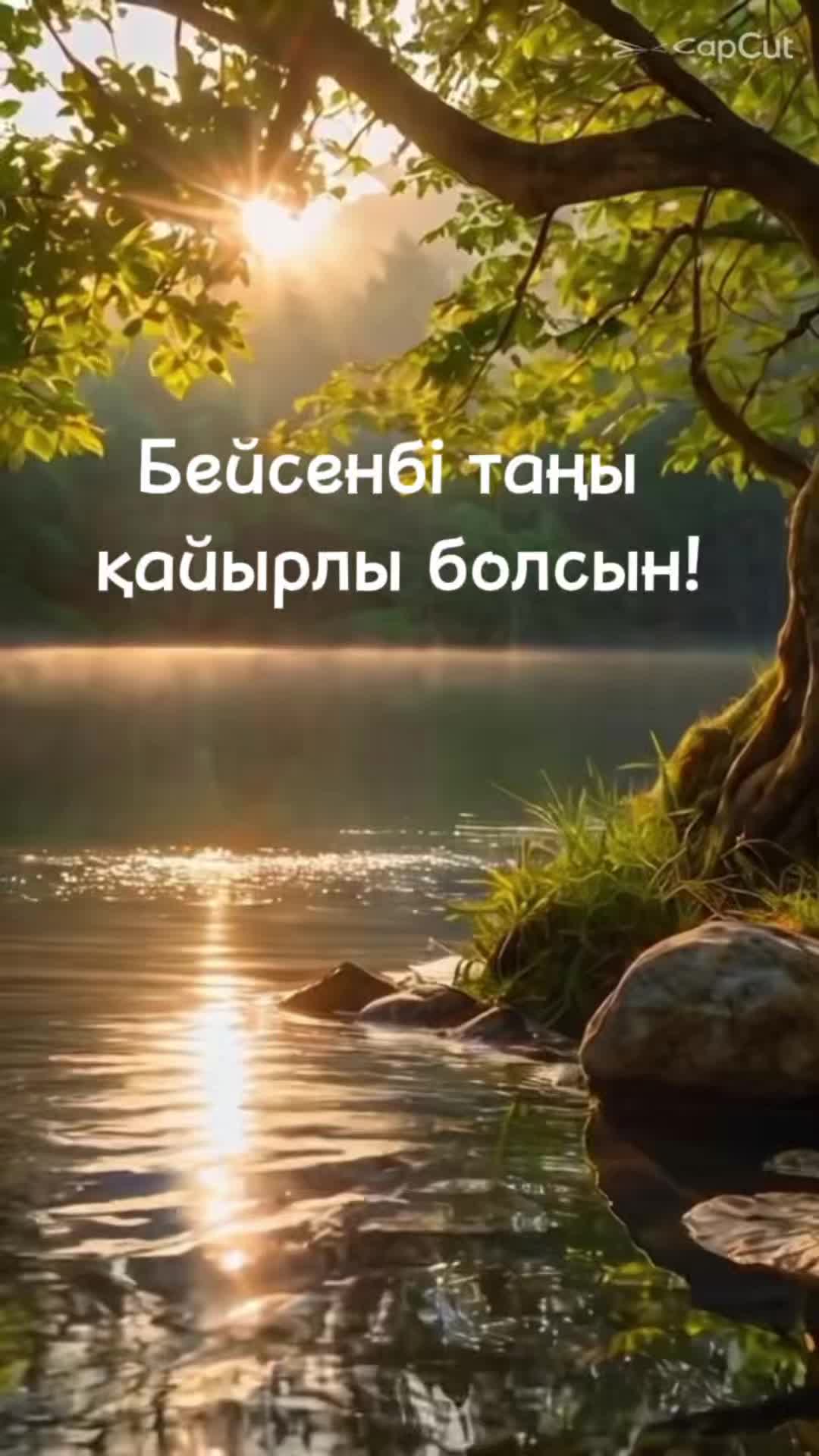 @aray_dinasil