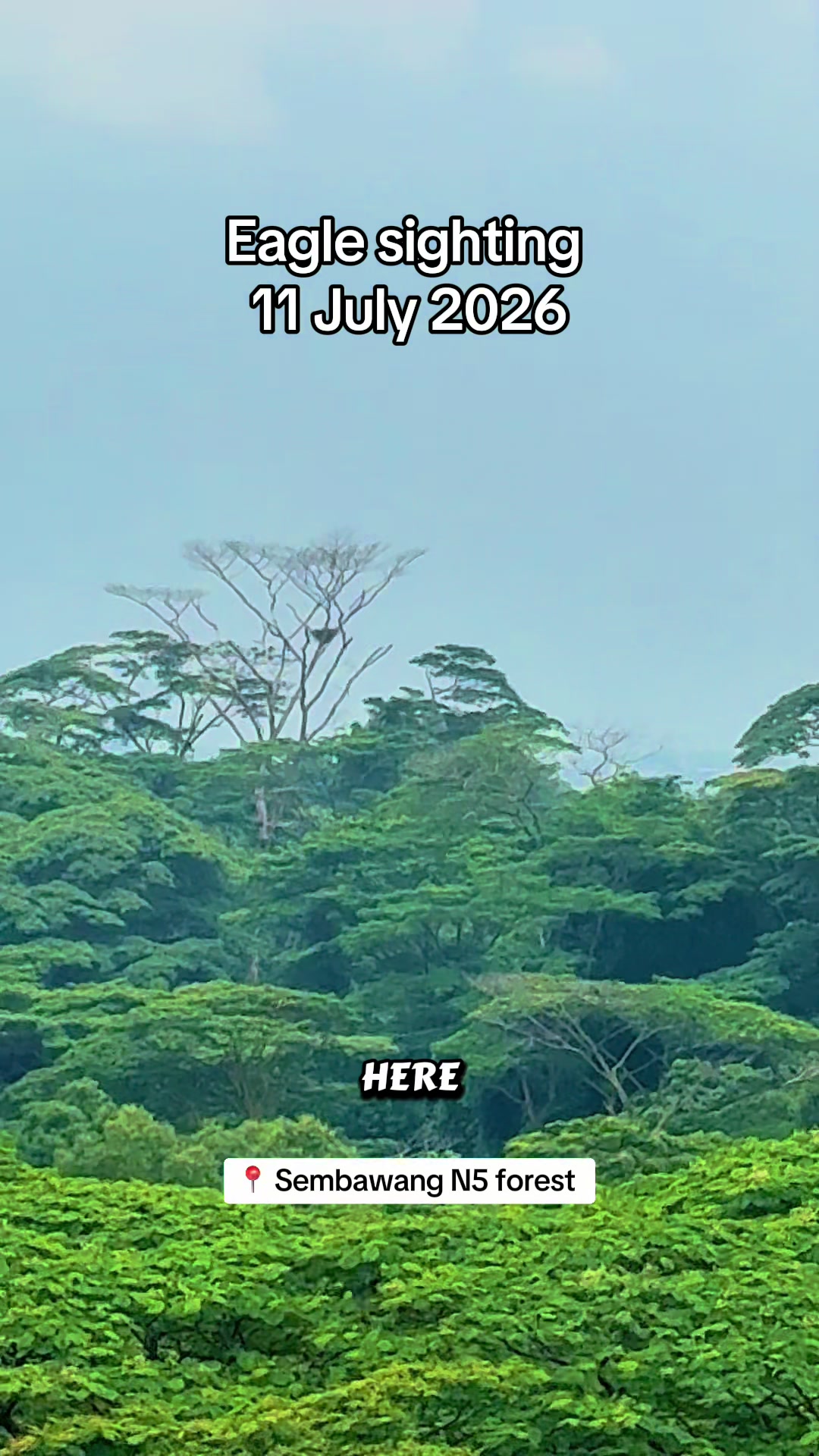 @Jimmy Tan