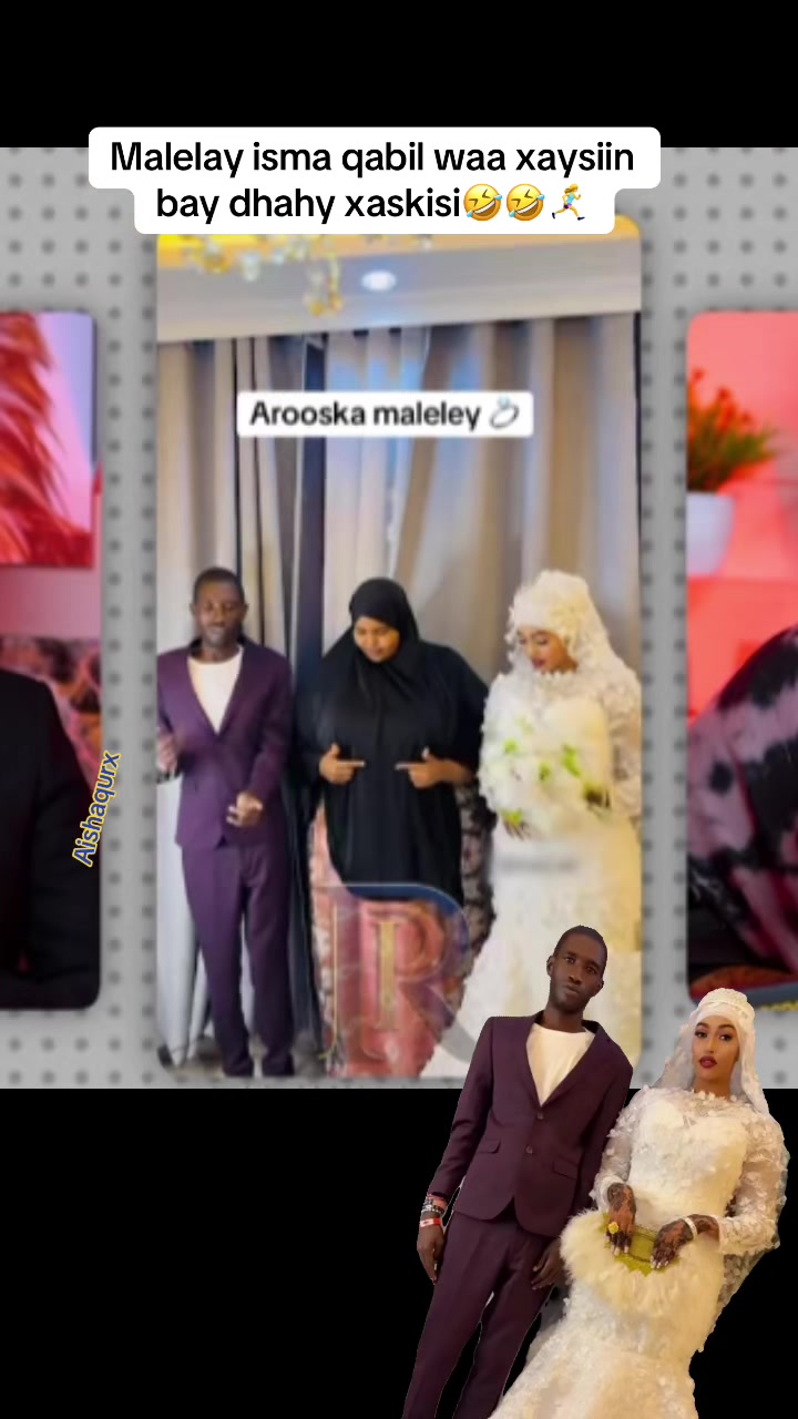 @Aisha Qurux tv📺🏃♀️➡️🥷