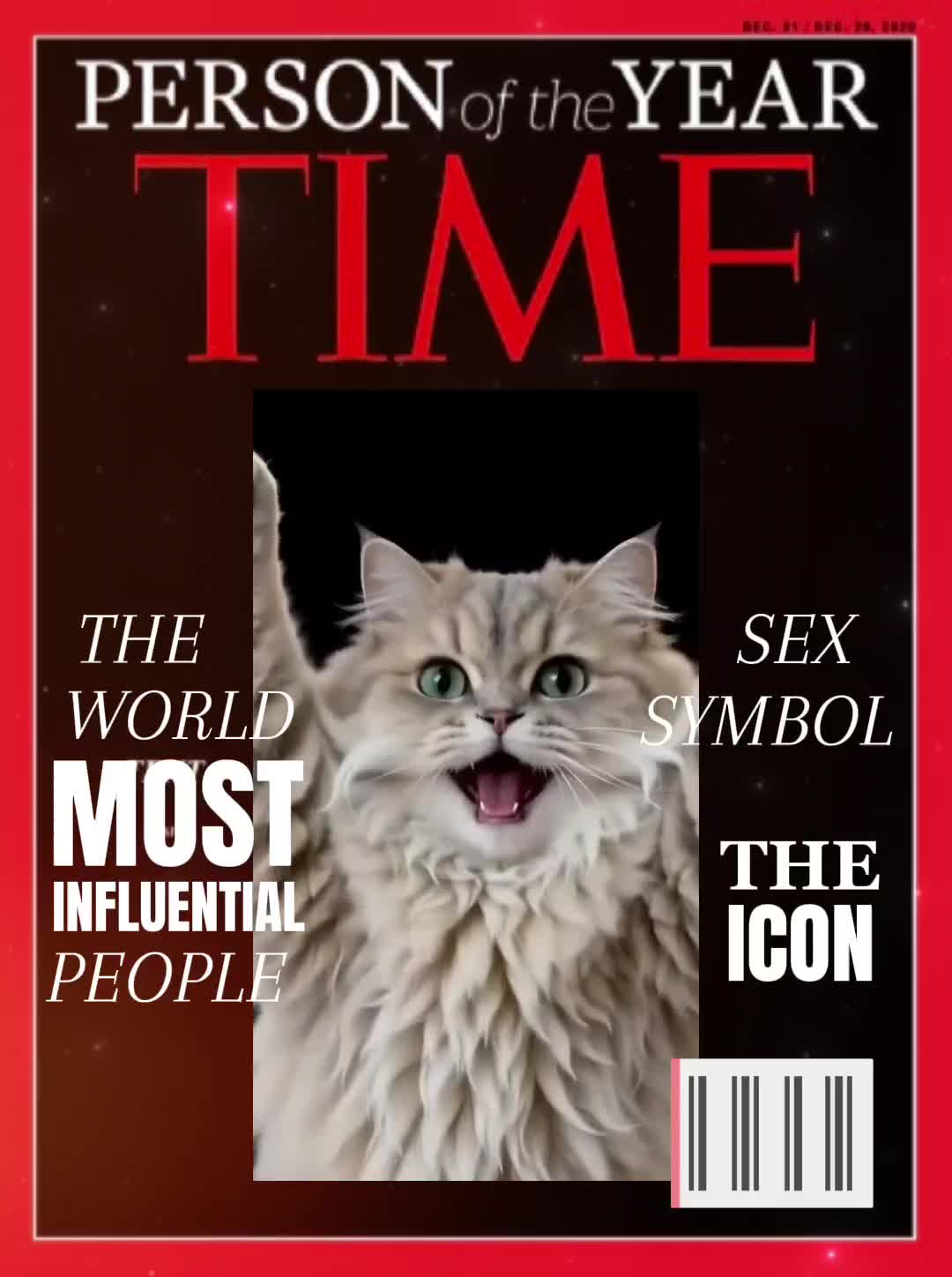 @stormcat66