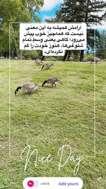 @Mandana Dialameh