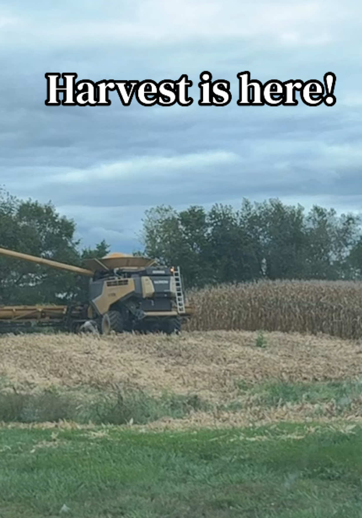 @Steph | WFH + Farm Wife ⌨️🌽💋