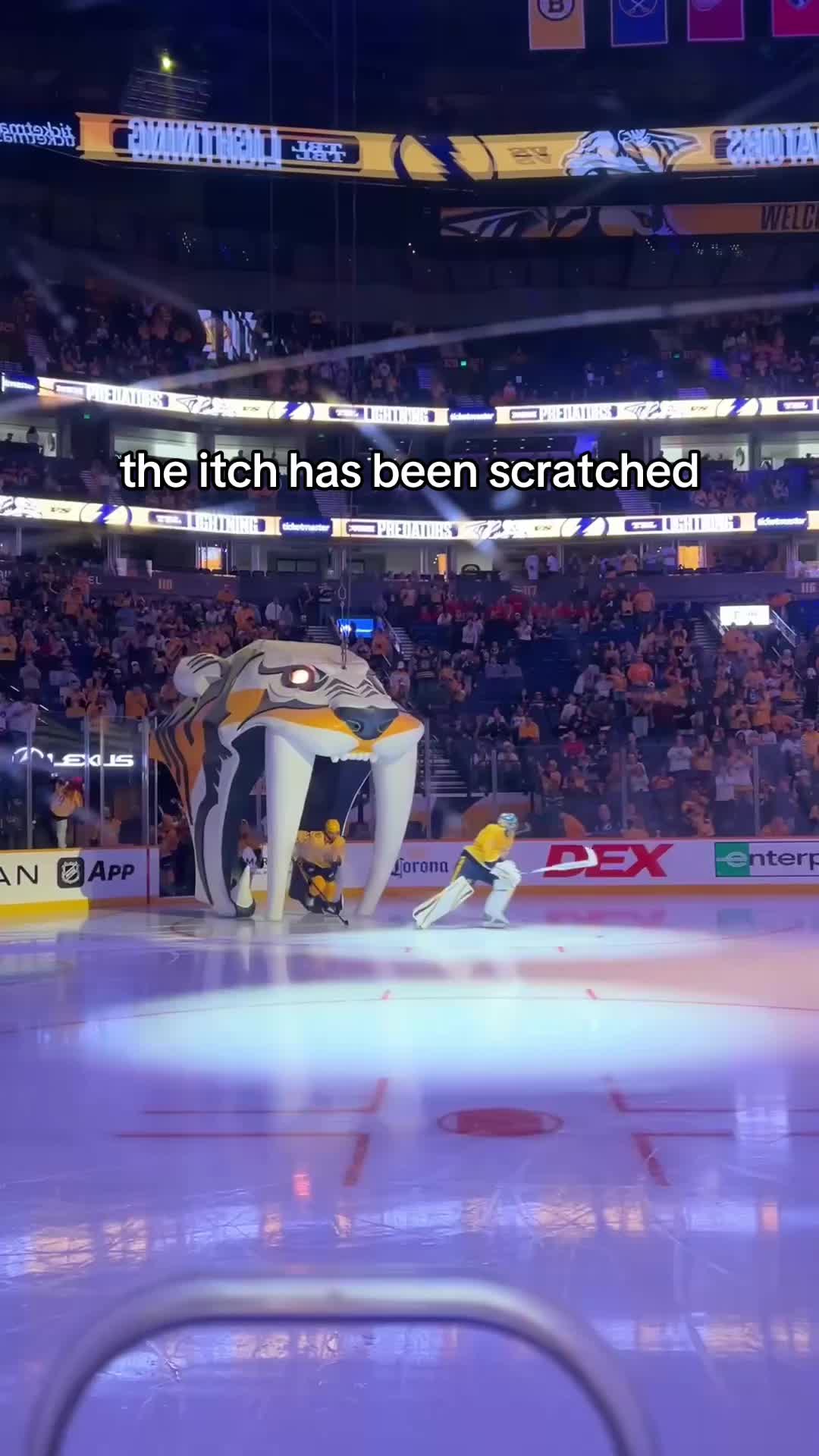 @Nashville Predators
