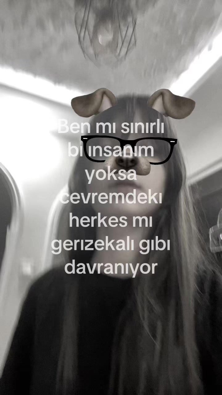 @Erva Karabulut