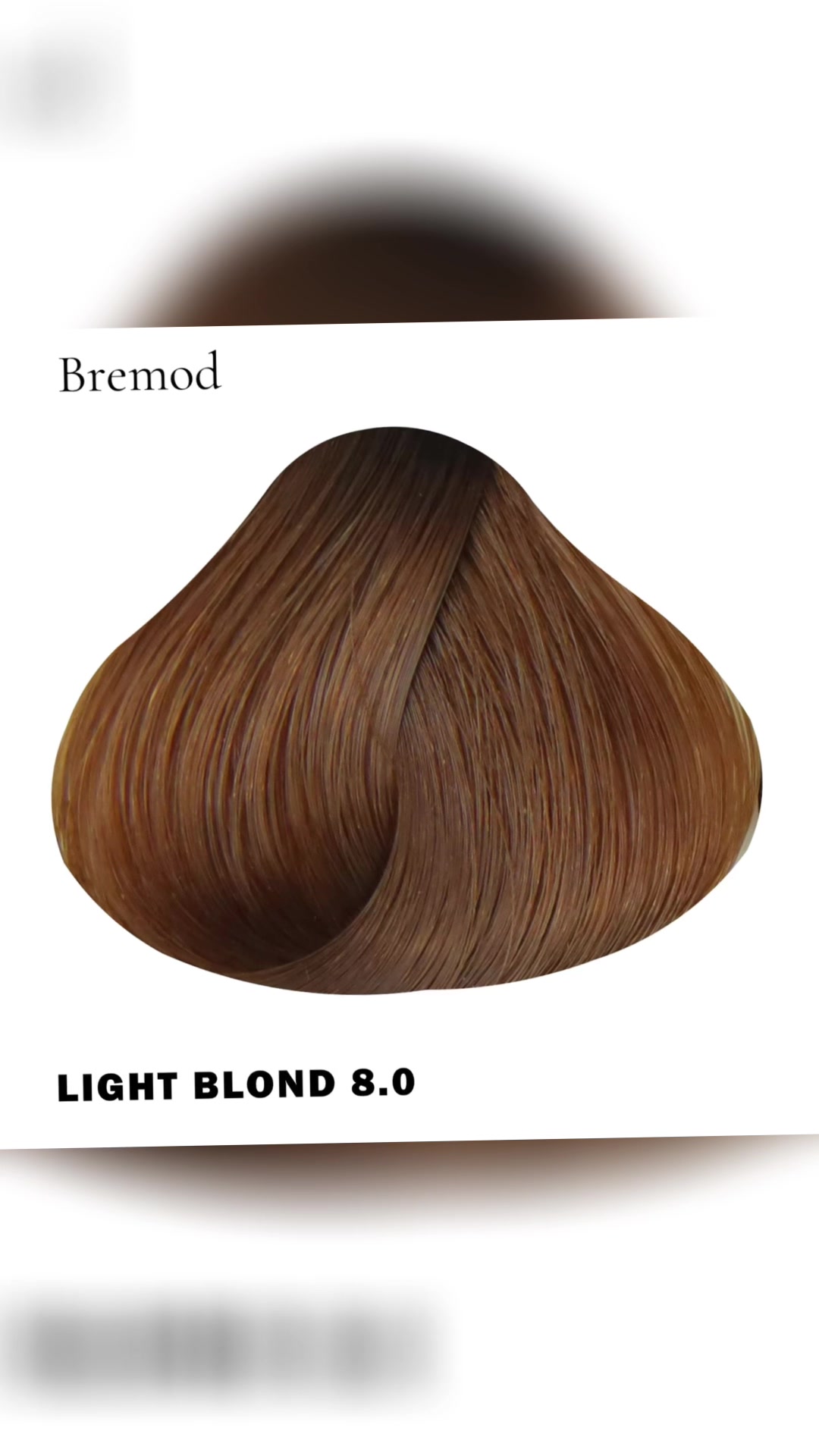 @Bremodhairexpert