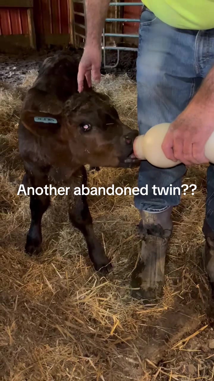 @Strong Family Farms