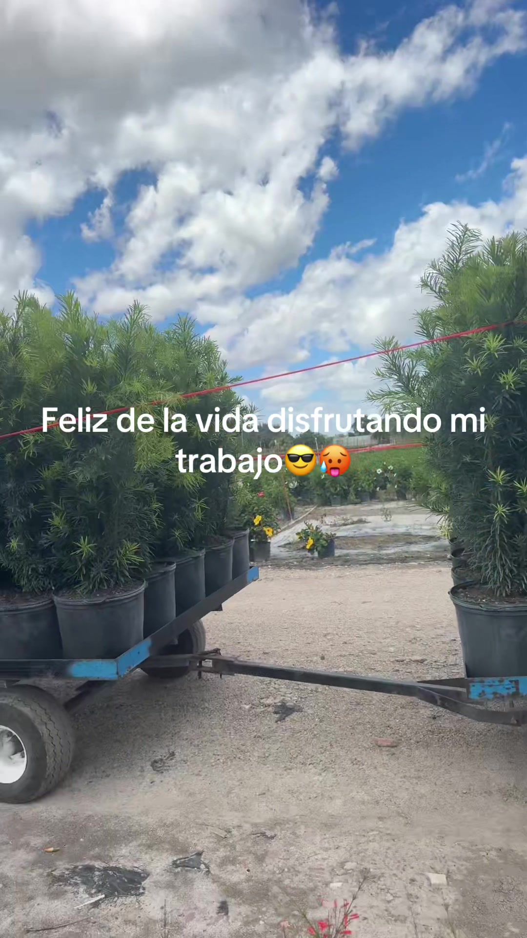 @Jhuliettajhoan