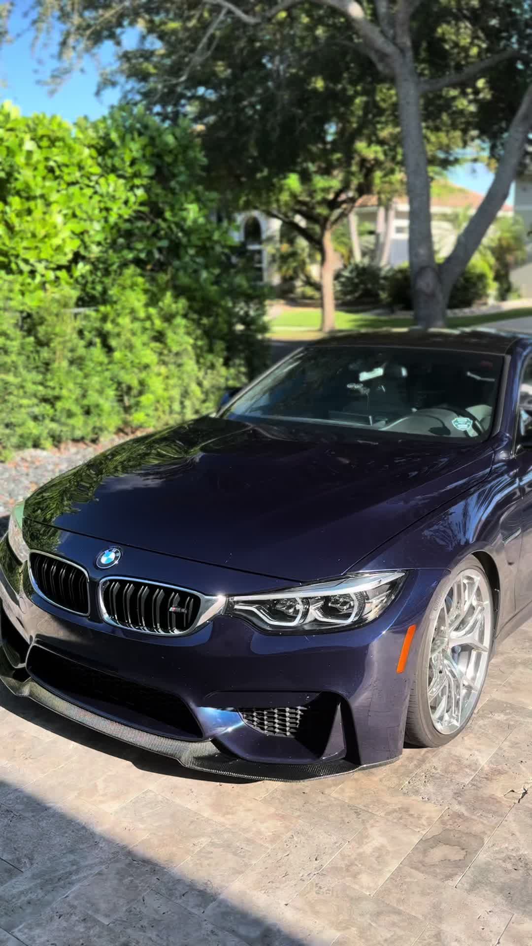 @m4rphy