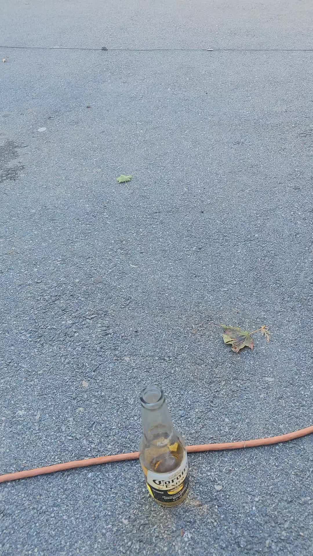 @Salomón Lima 🏹🇪🇨🤗