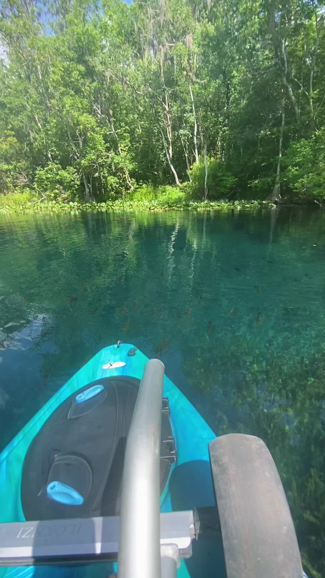 @Wet Rabbit Kayaks
