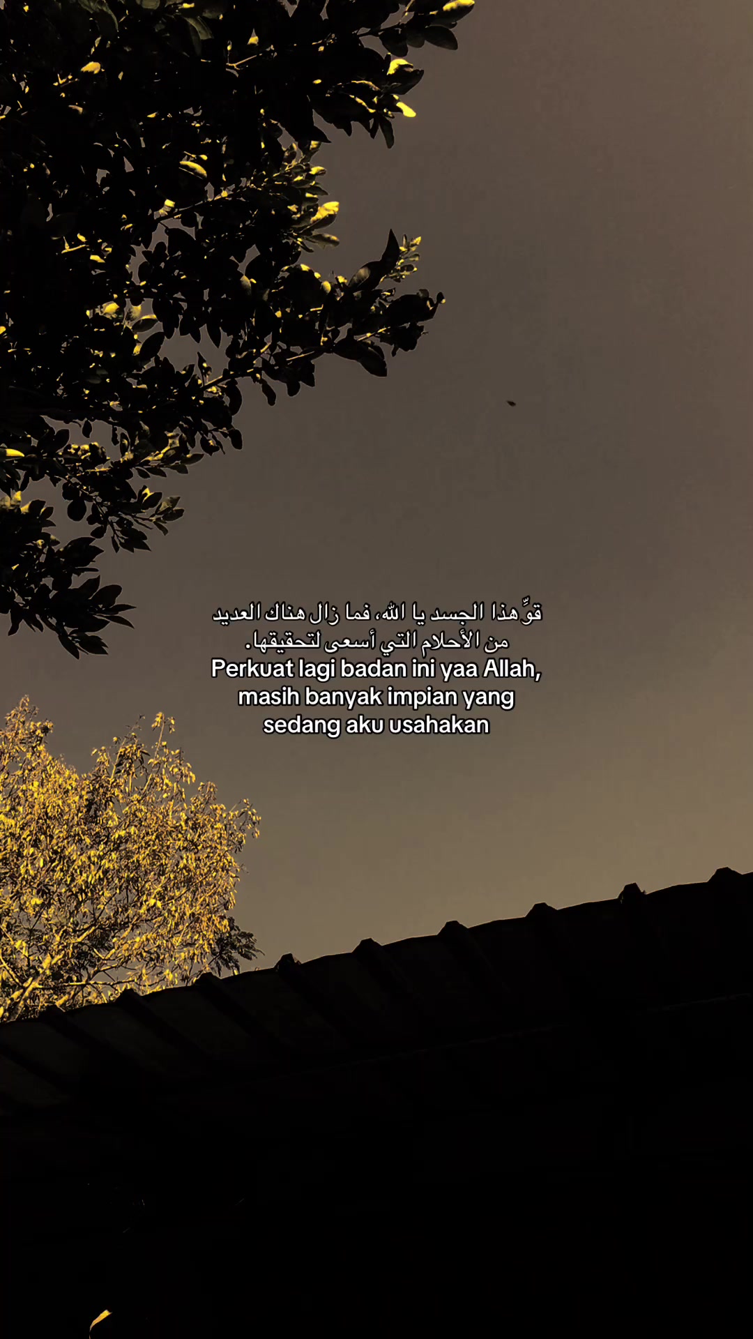 @﷽