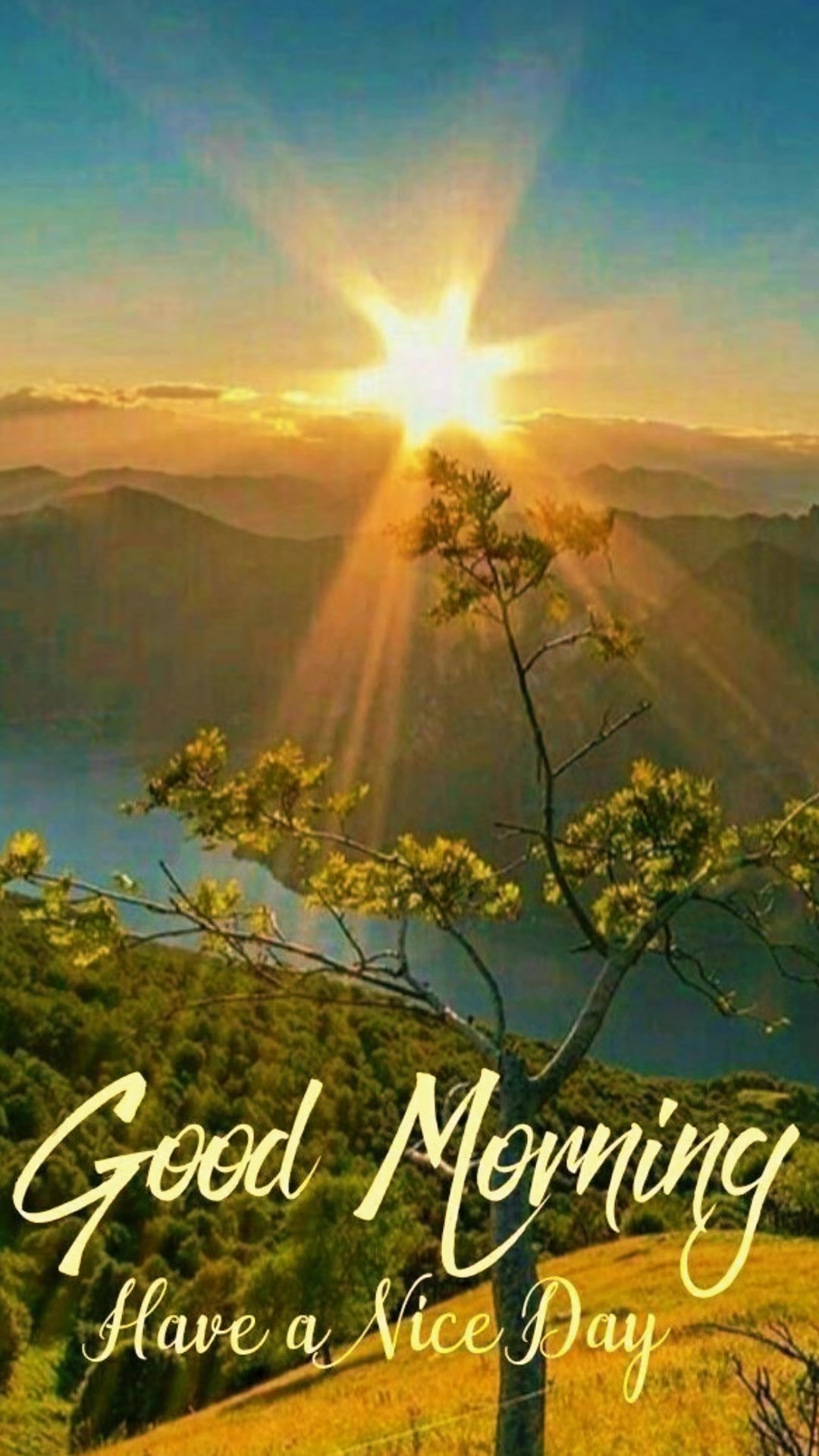 @Bhima Gautam888