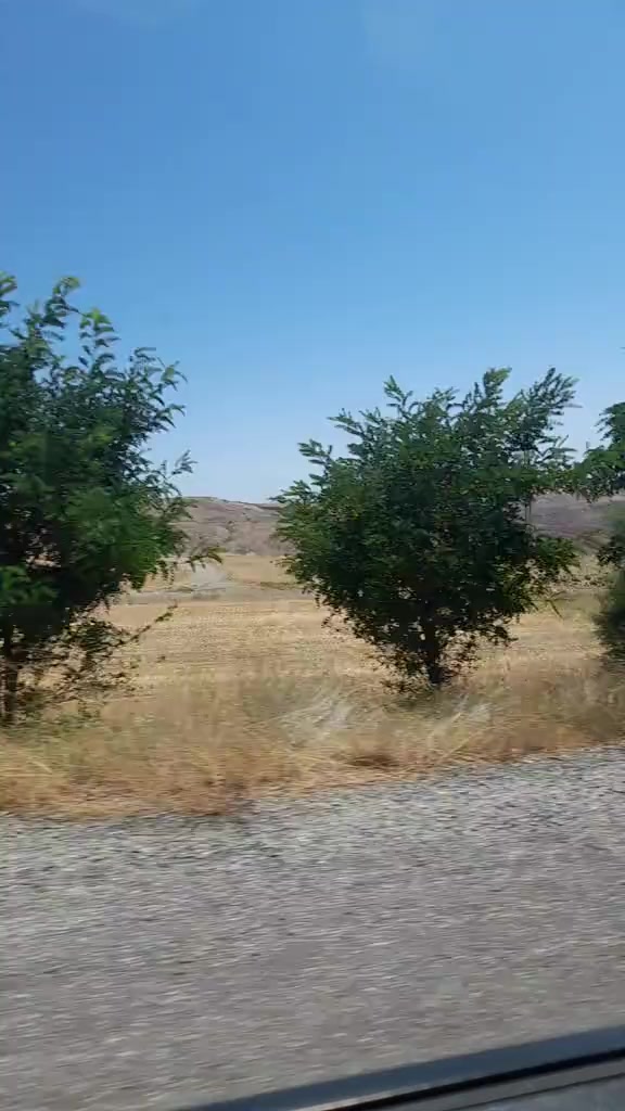 @sevim