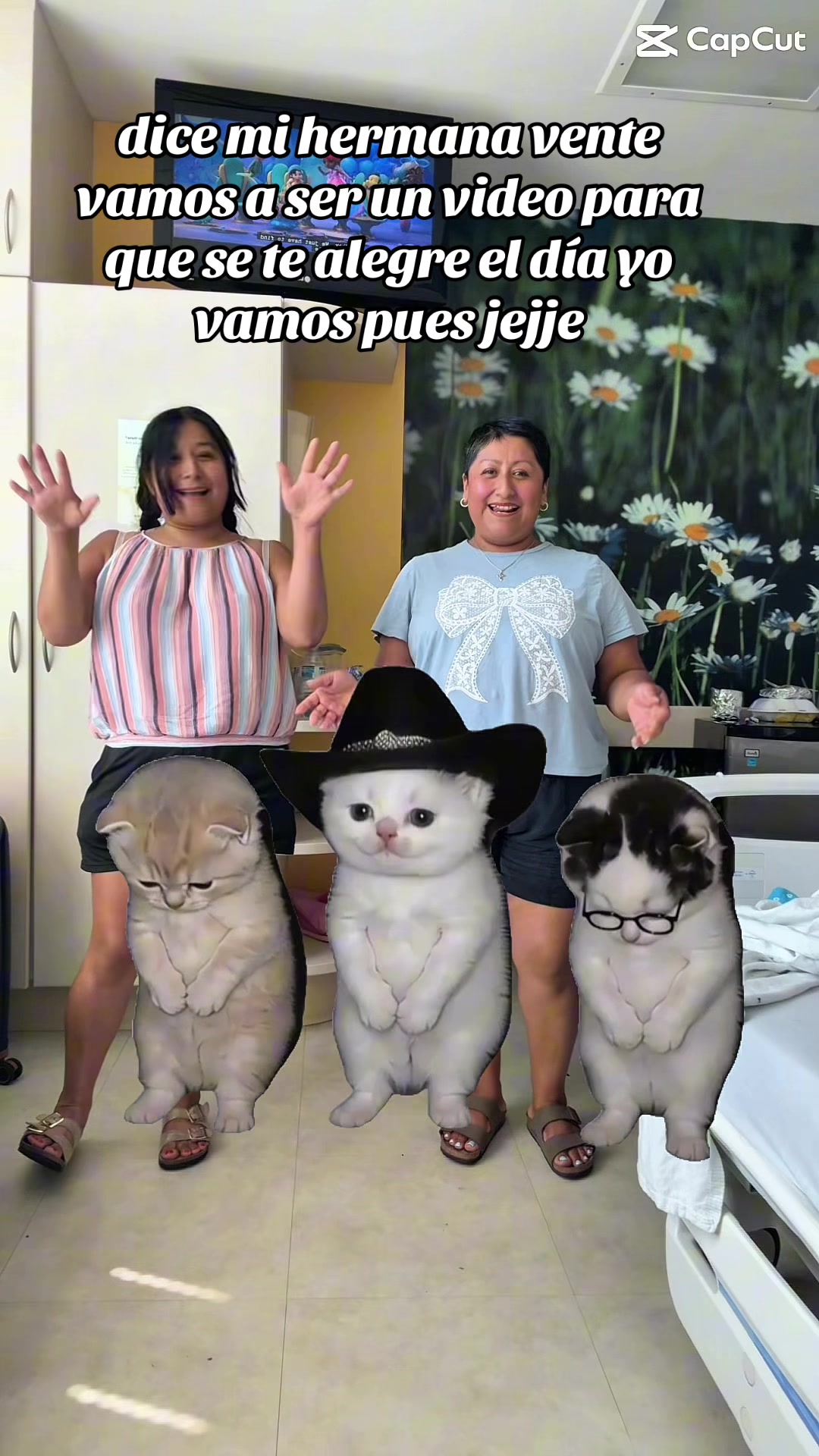 @Cari Falcón Cz