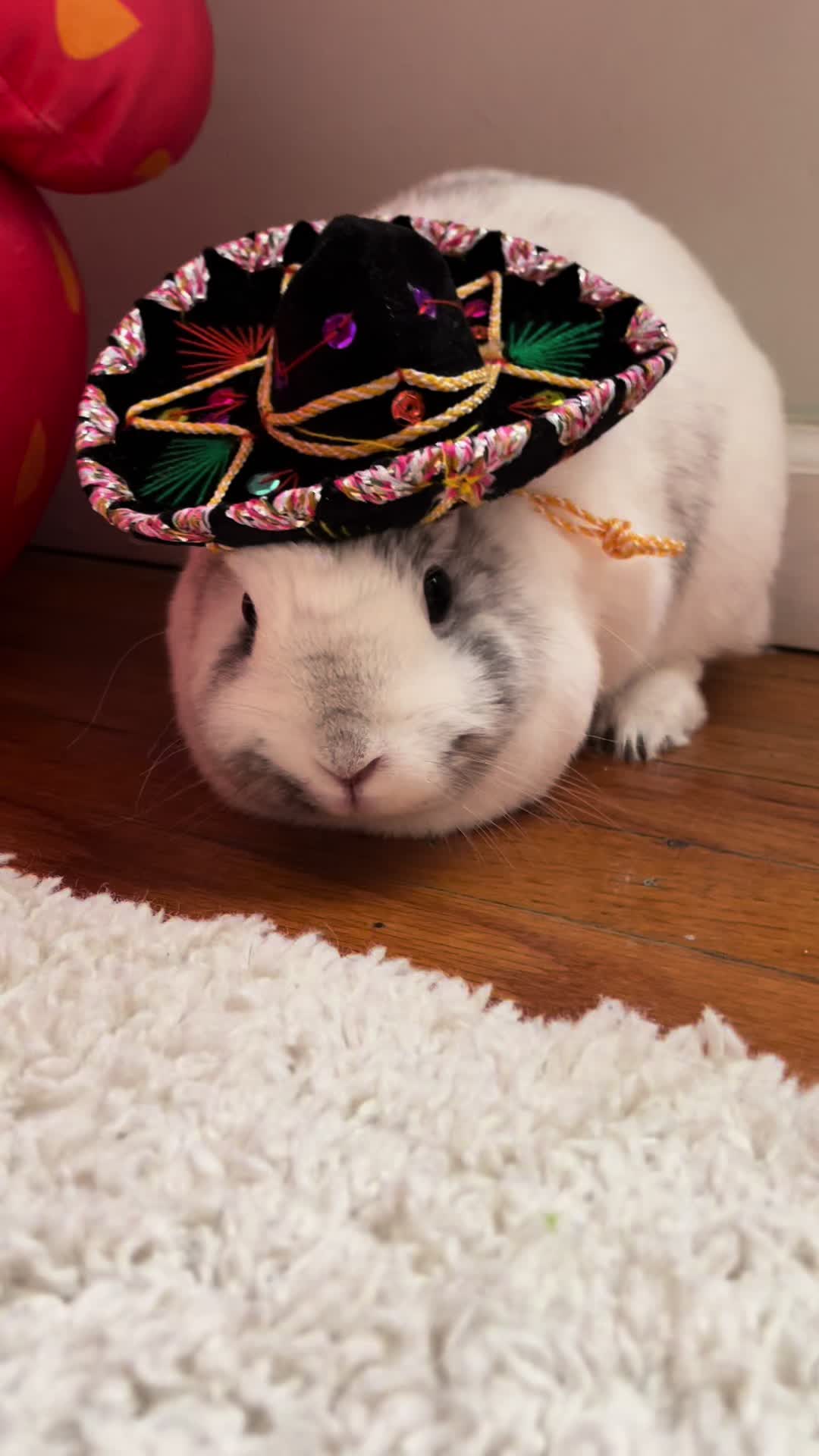 @snackqueenandsir