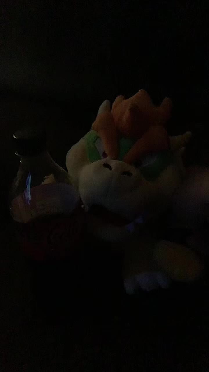 @🎩The Phantom Bowser Army🎩