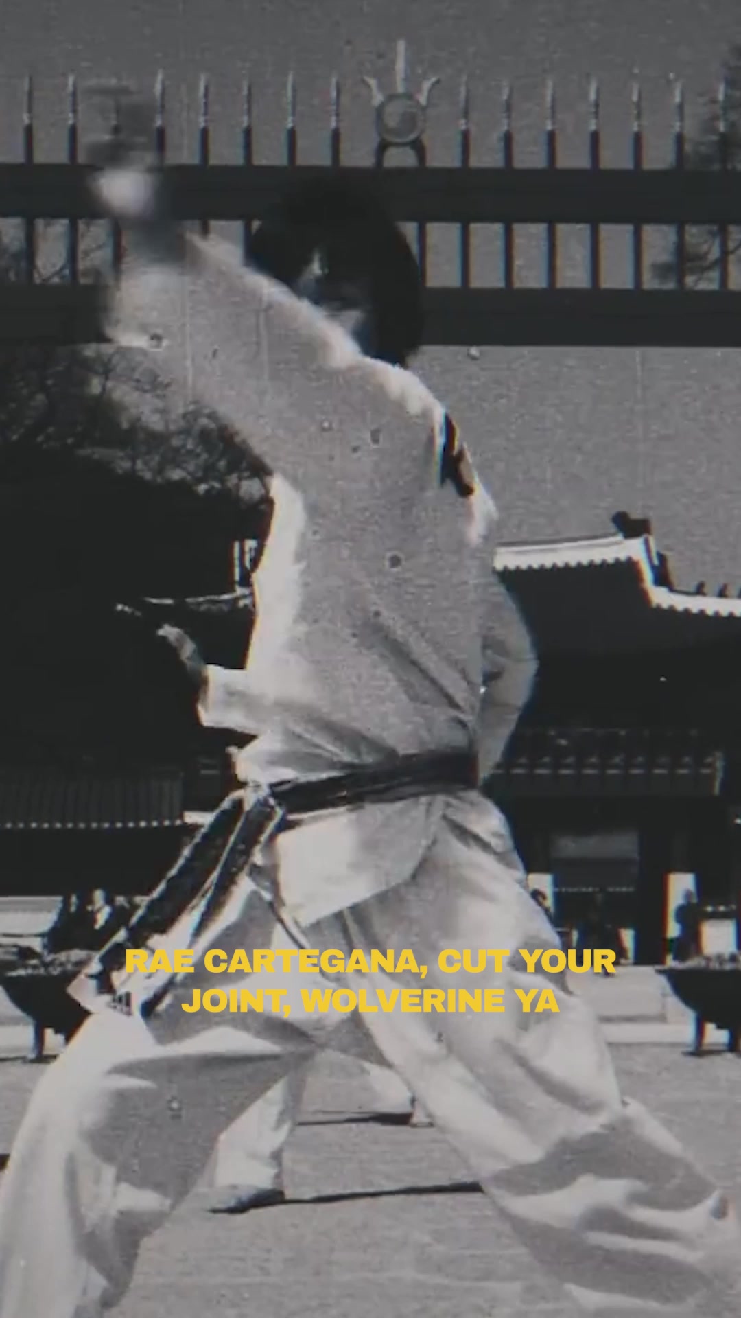@Wu-Tang Clan