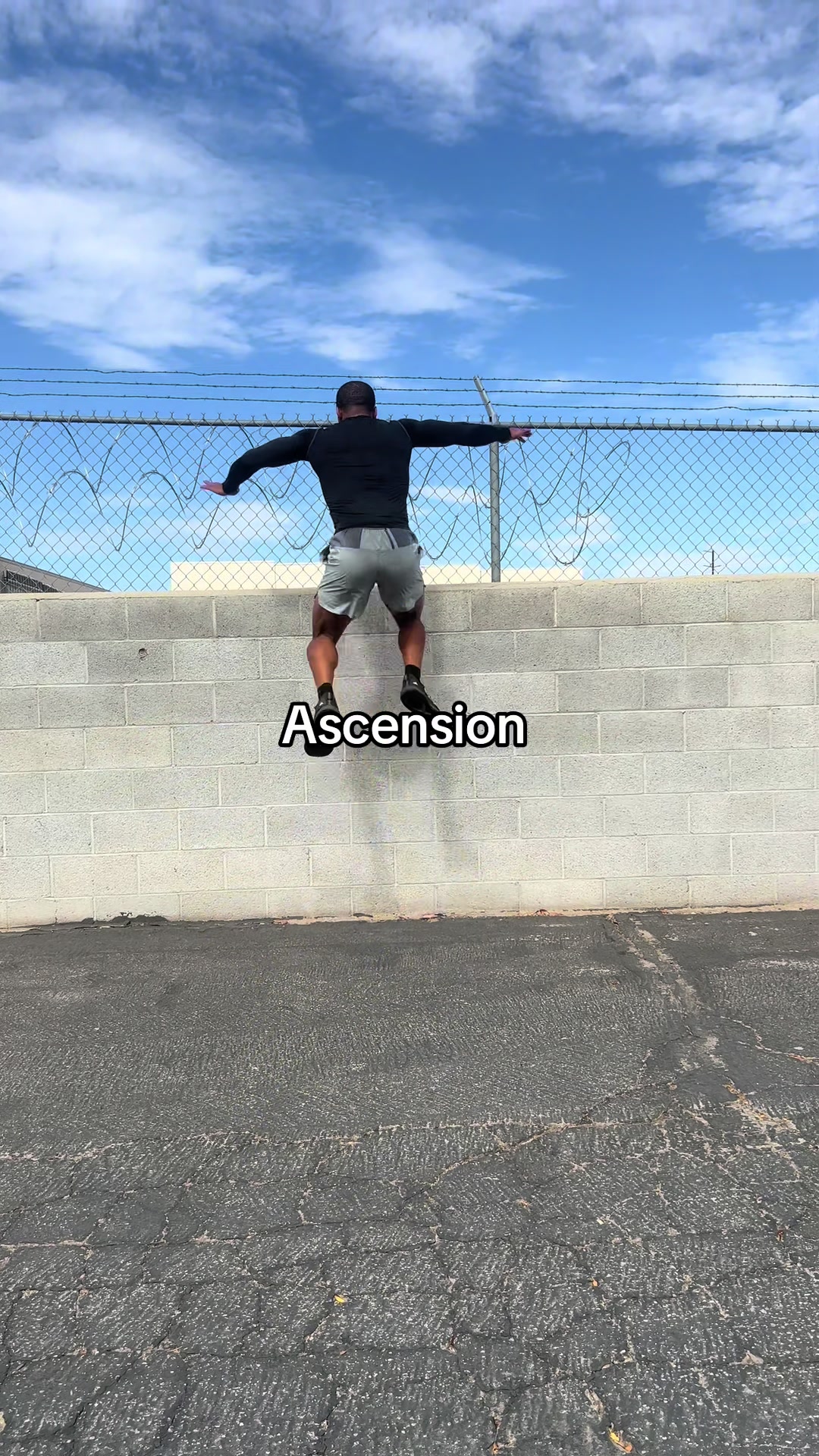 @Archer