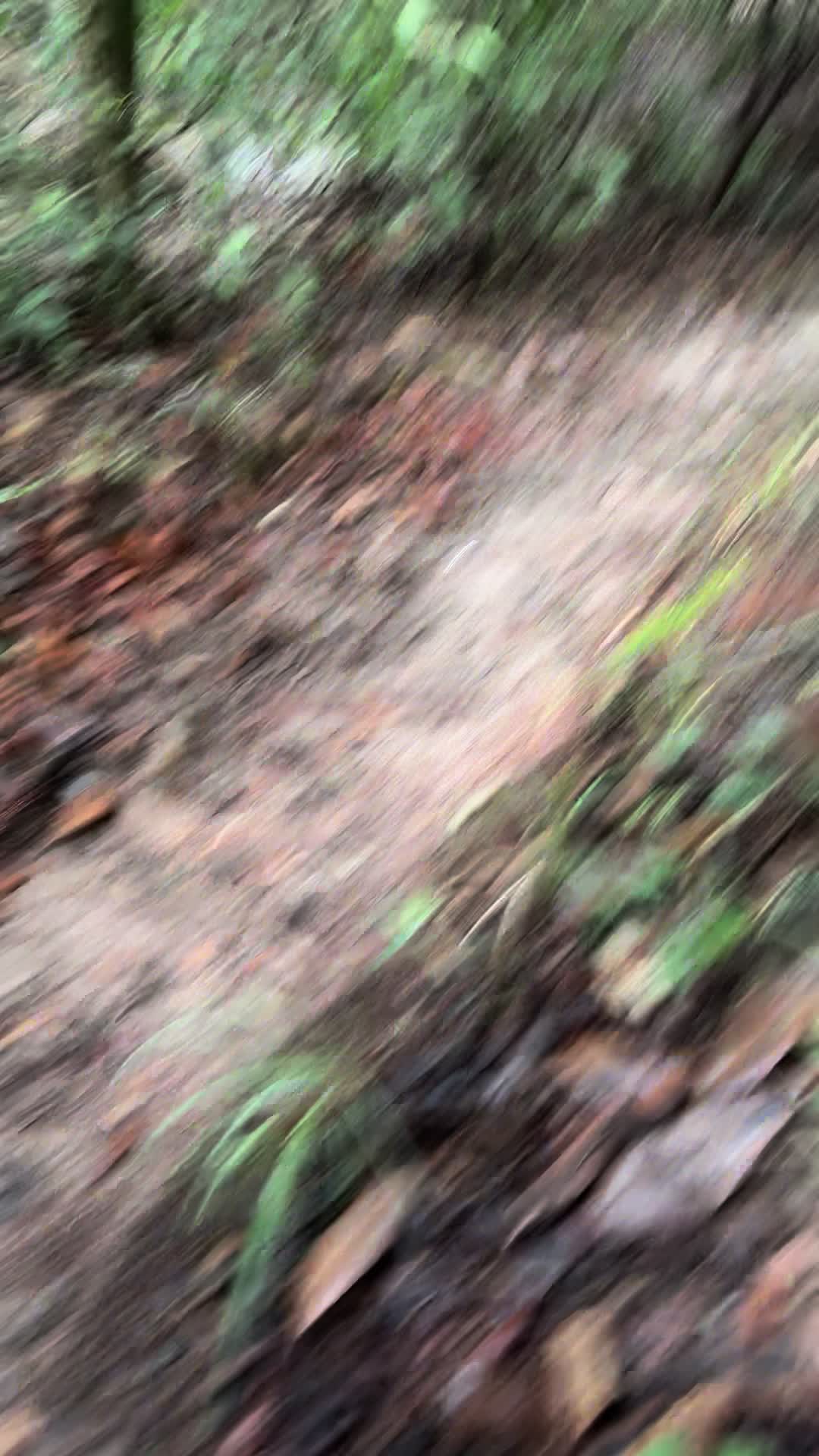 @tiffanis_tiktok