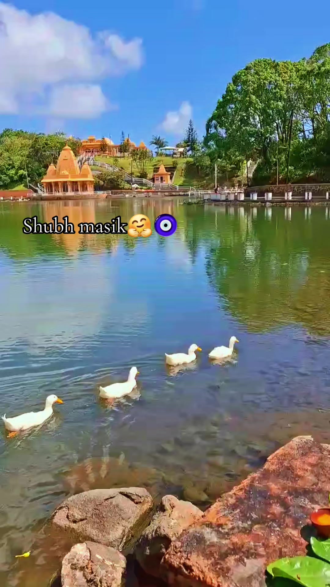 @Shreeya❤️