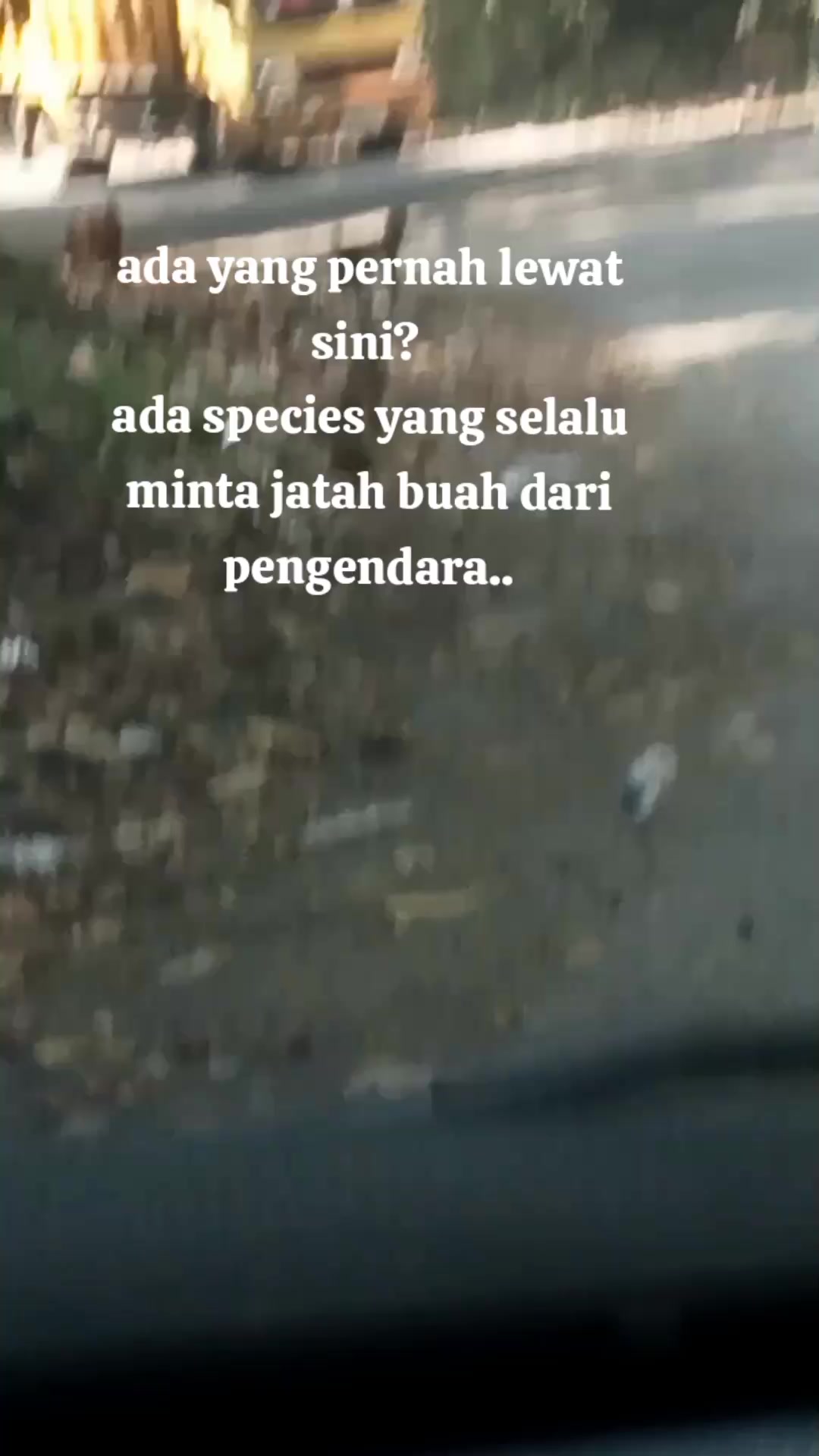 @Ajudan