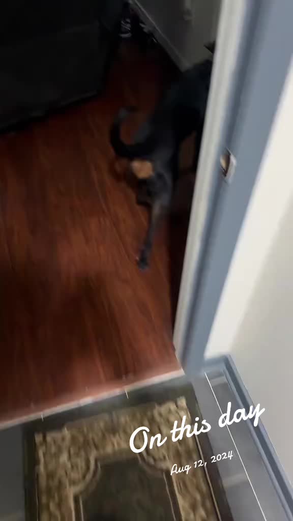 @TheHobsonSquad