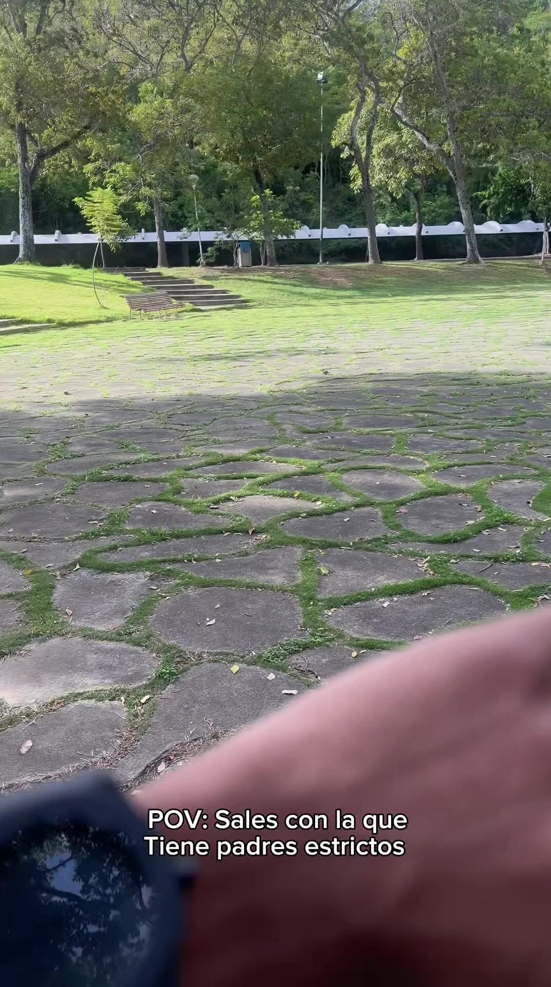 @alelust🦦🌻