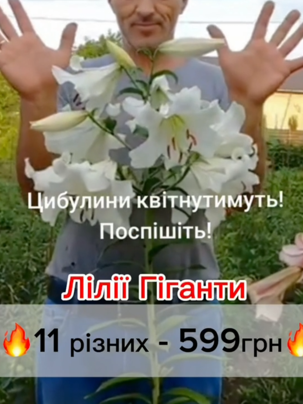 @maxflora0977350481