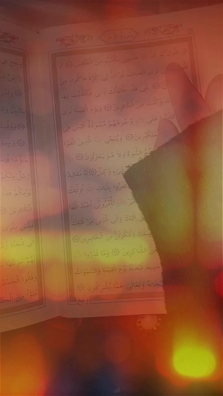 @_melek_şeker