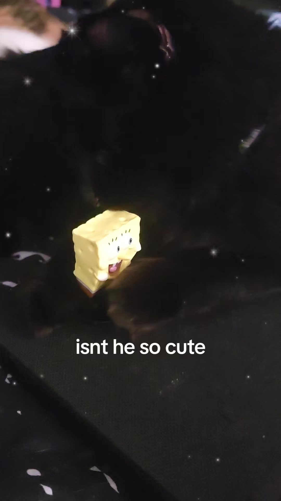 @🪻