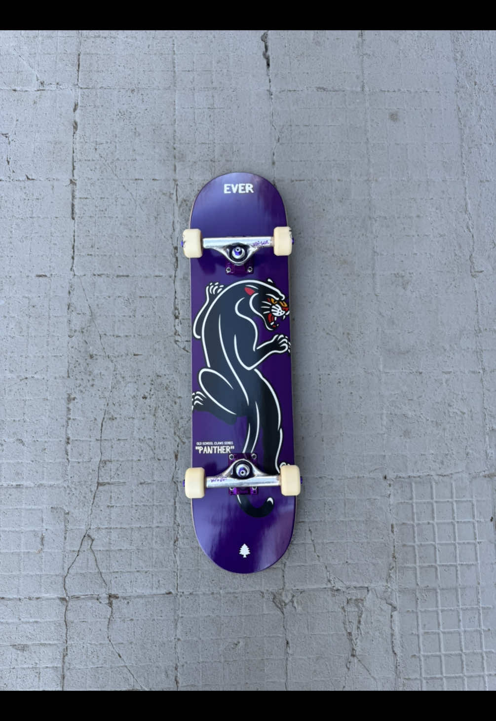 @Ever Skate Shop