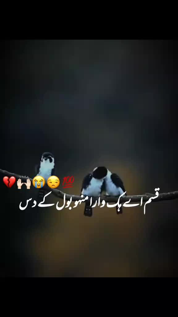 @بادشاہ