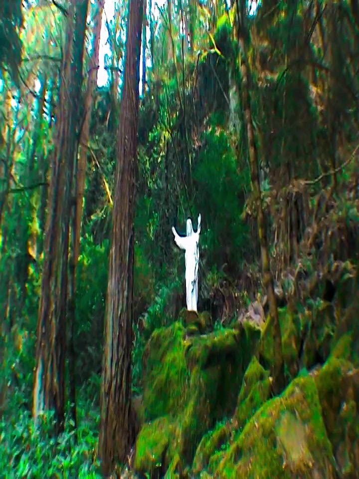 @earth enjoyer