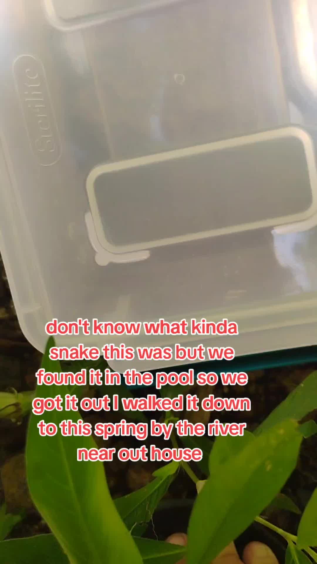 @DarkCrys
