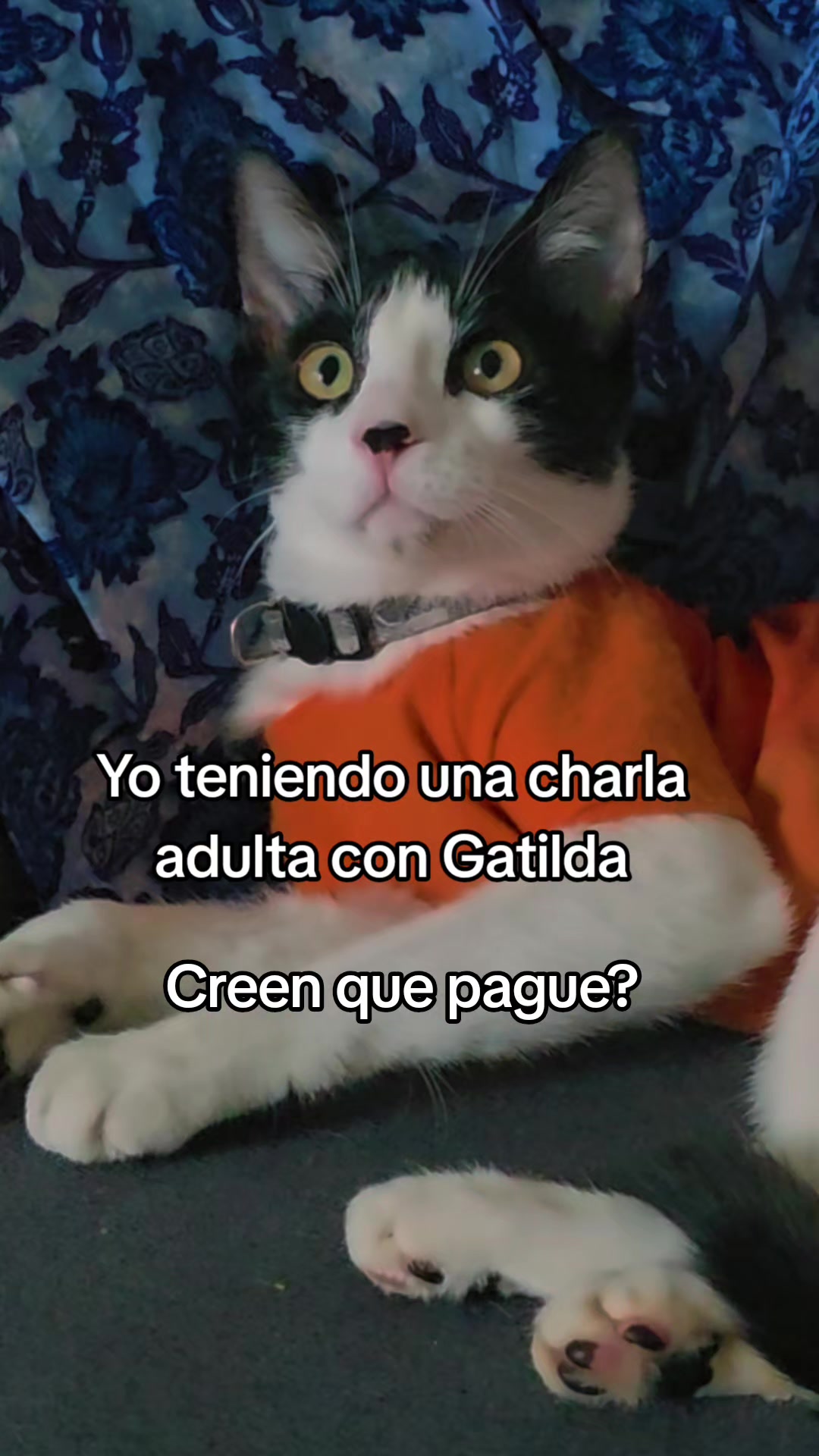 @María Chavana