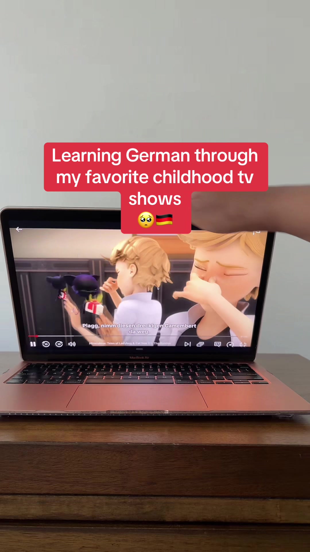 @languagelearner