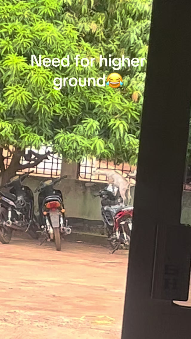@Boyonpension🤐