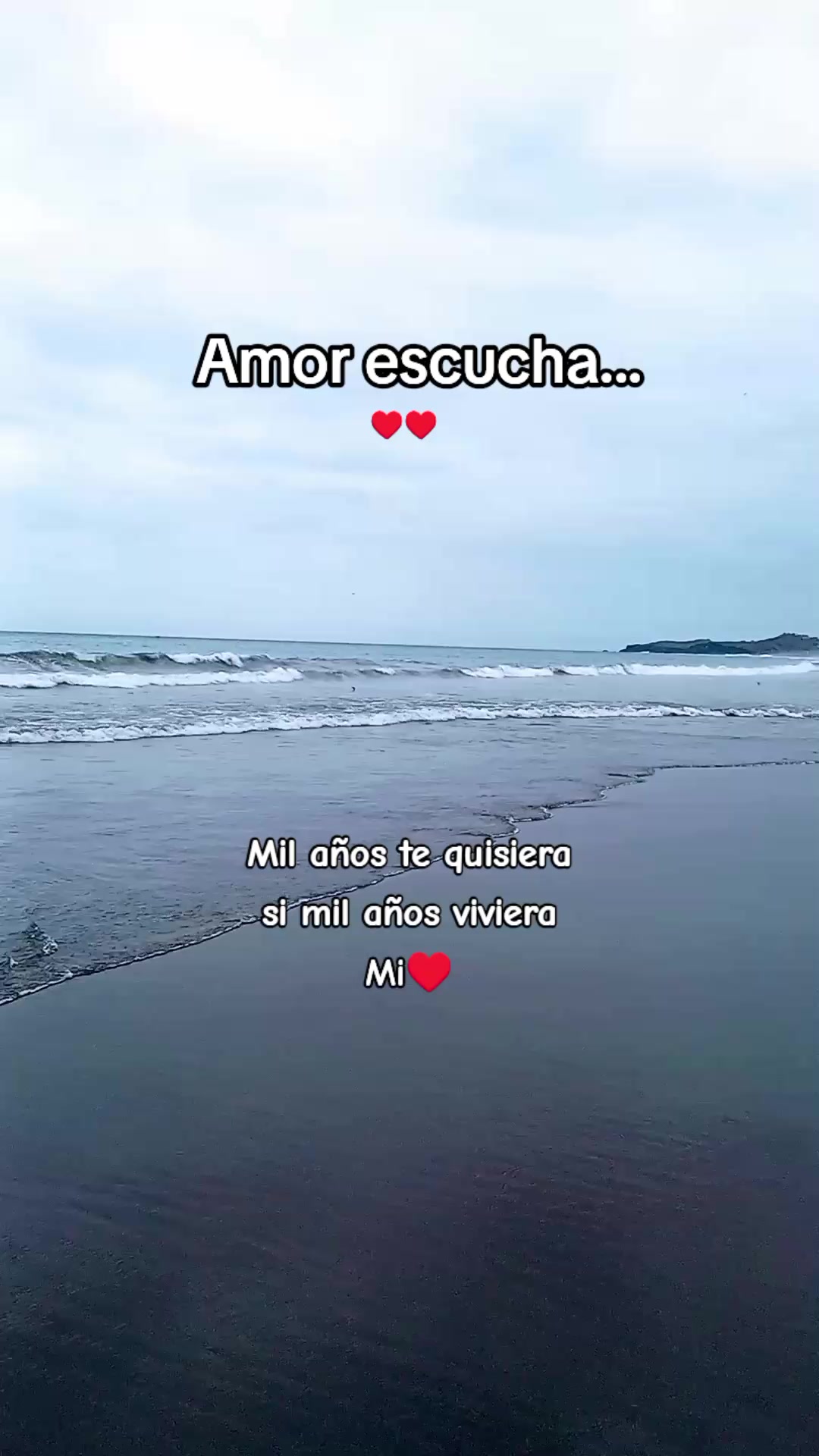 @Nani Torres