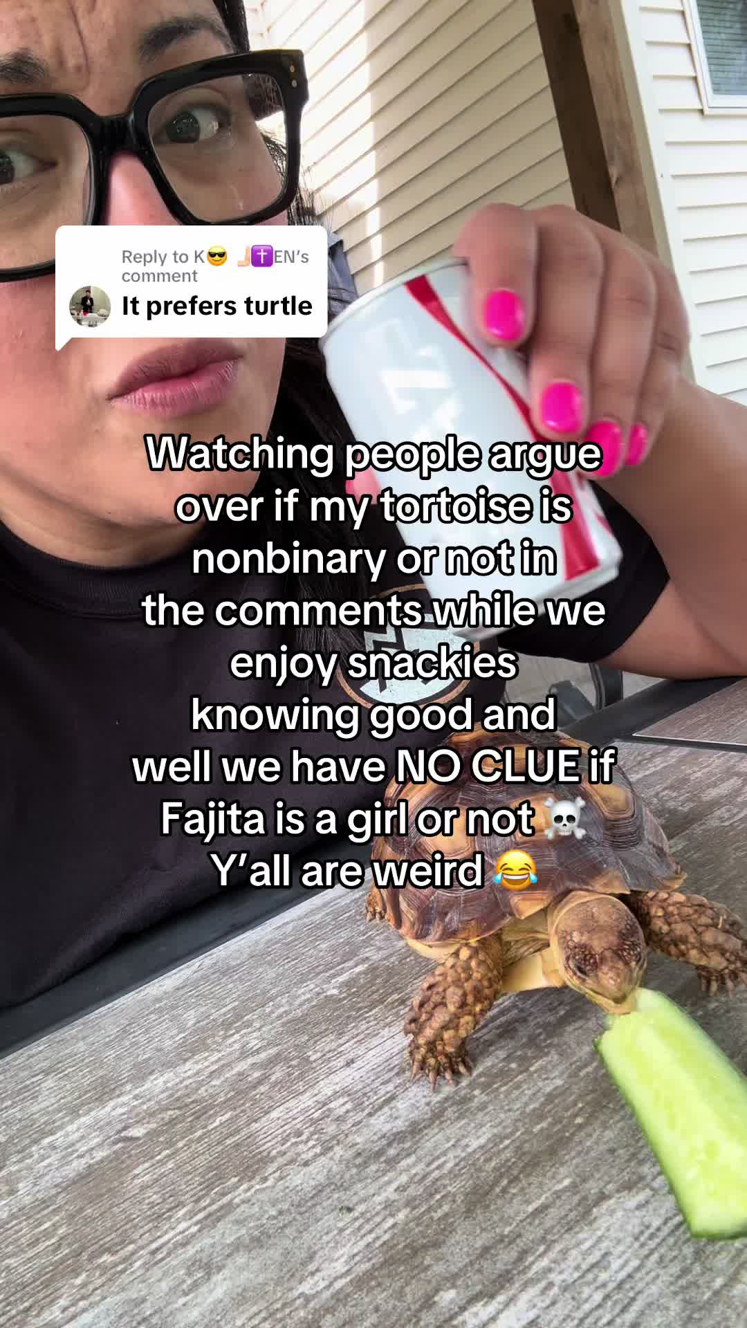 @Fajita 🐢