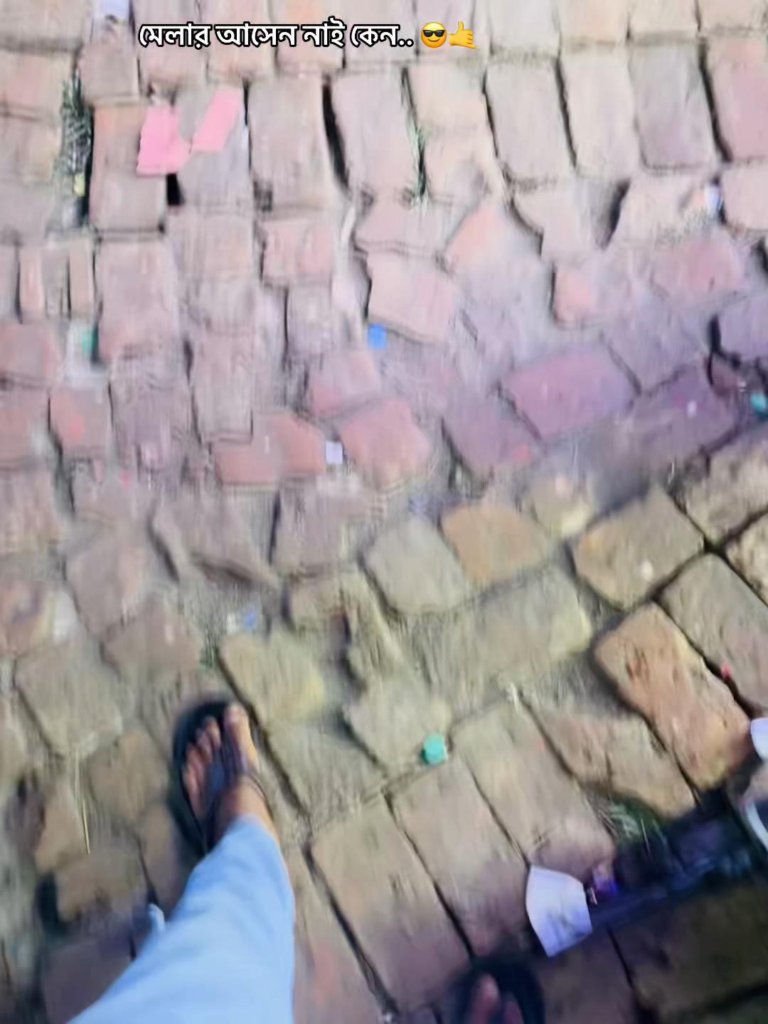 @sk _ Mohin_2
