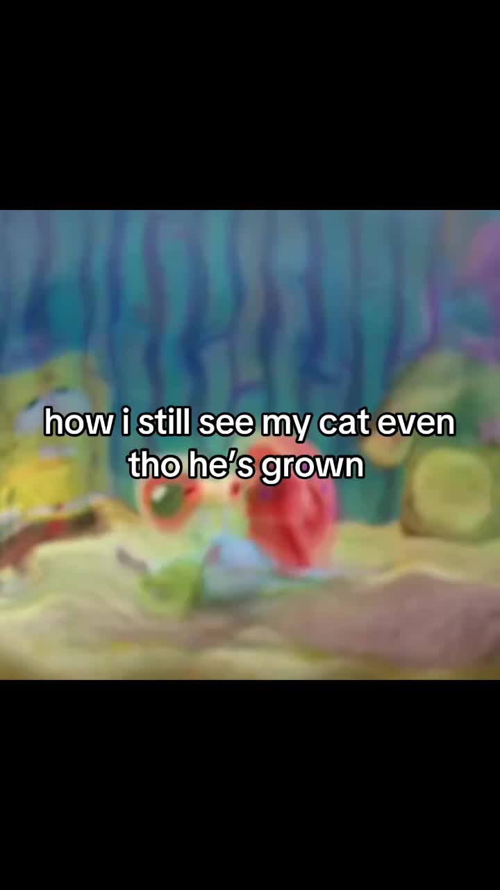 @૮ ˶• ﻌ •˶ აXลяเ🐾