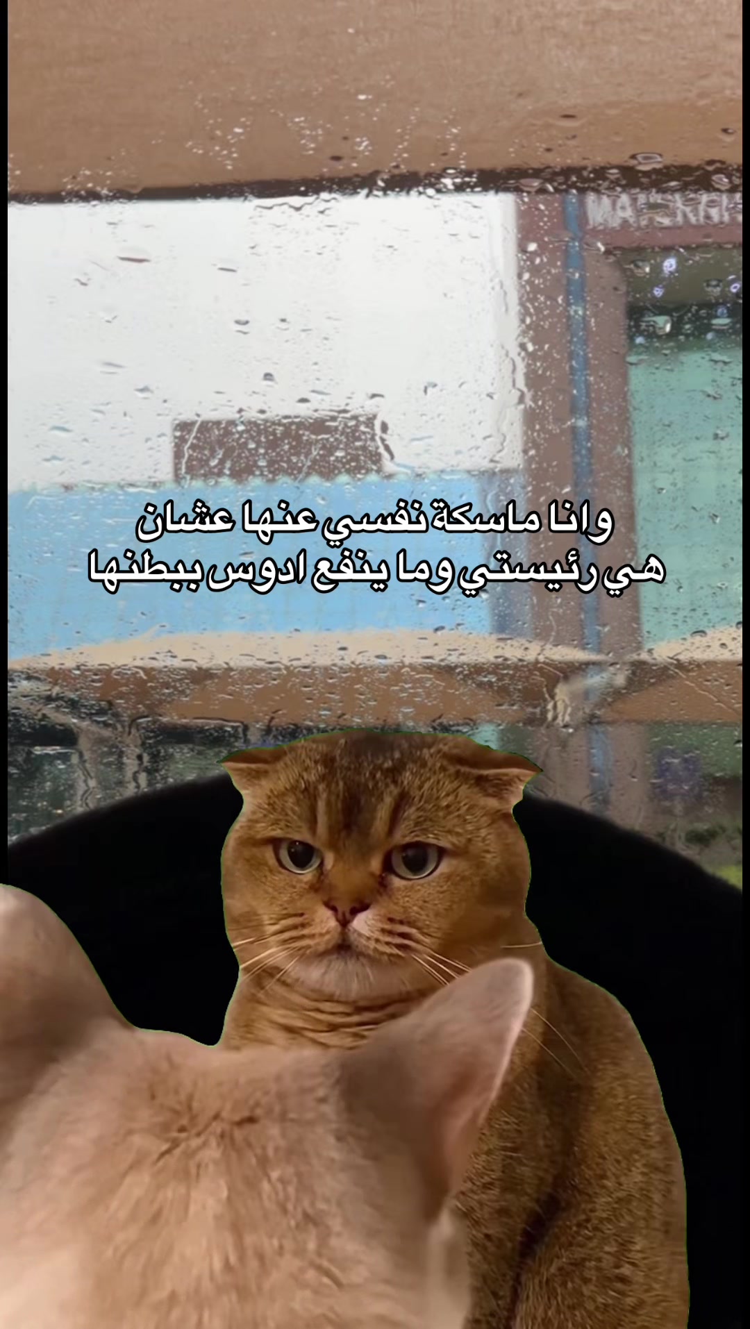 @SALMA ๐๏ธ