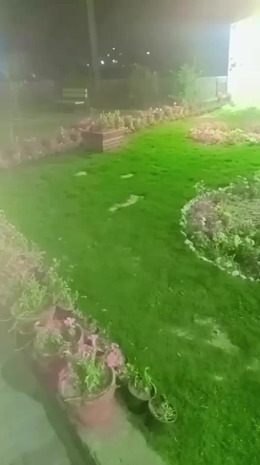 @Asif Gujjar 123