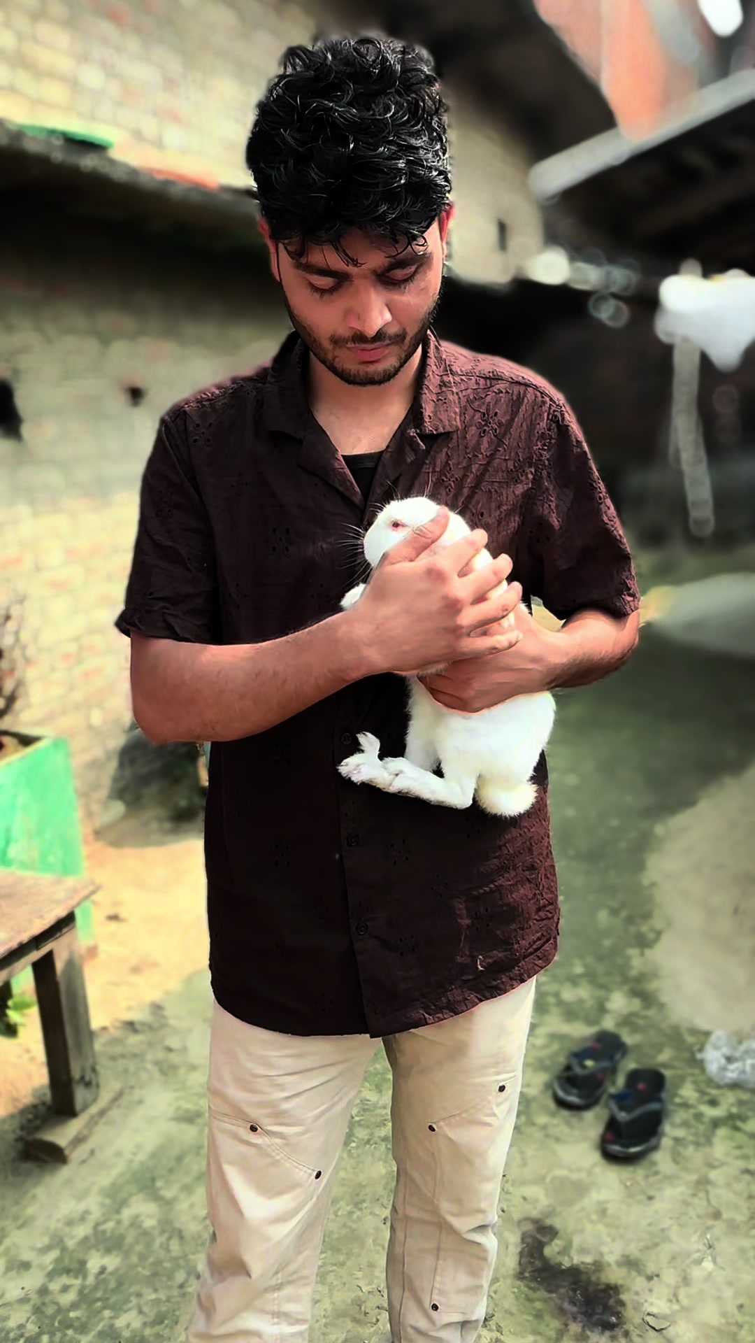 @Rohit yadav
