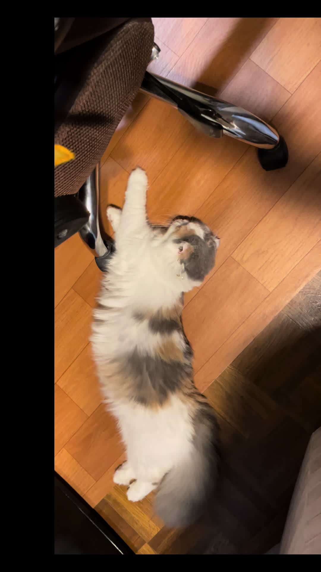 @むぎころ