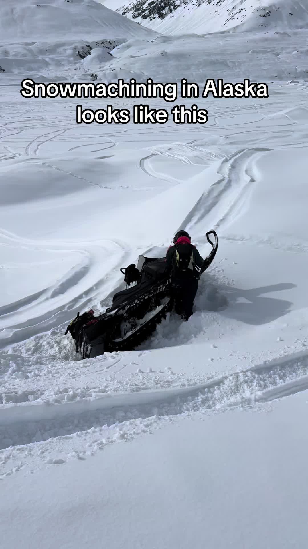 @alaska_codie