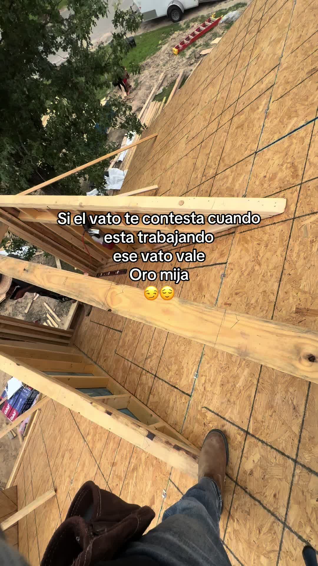 @qiique🕷️