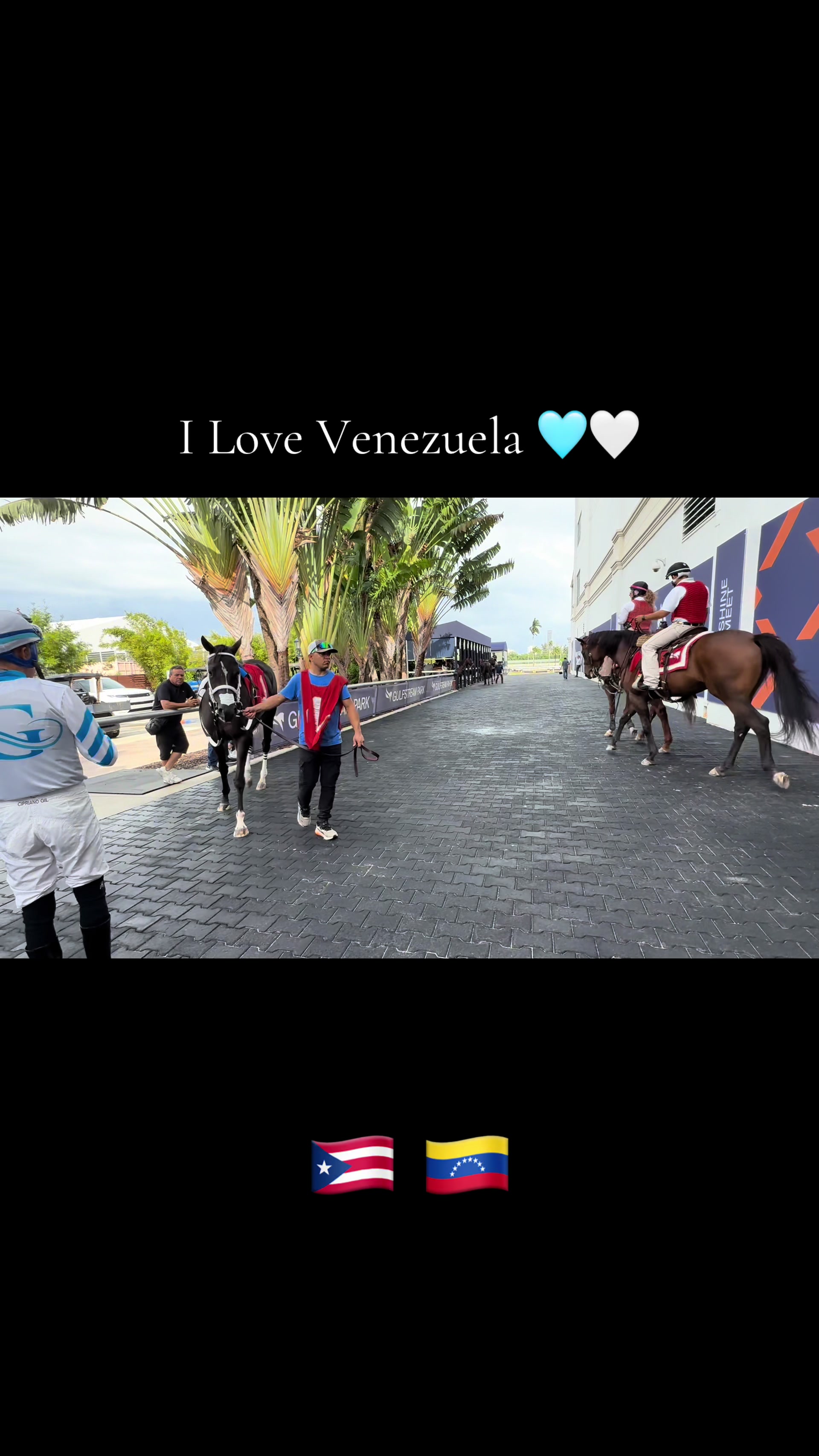 @gonzalezracingstables
