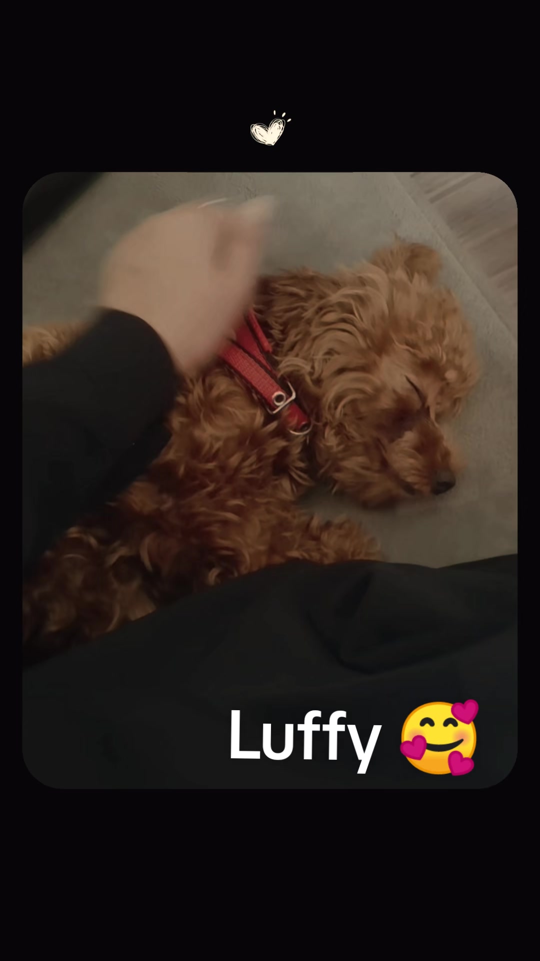@🧿😇Sudha_petlover👑🇳🇵