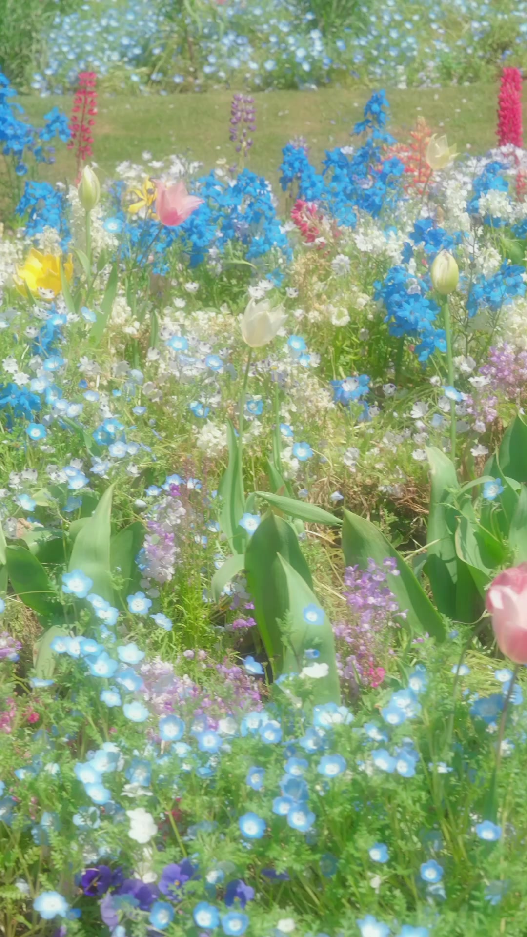 @Yuki[魅力ある景色の記録]